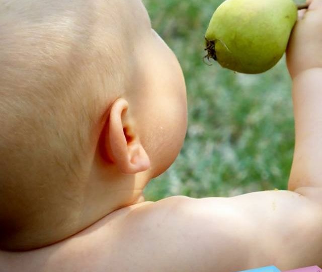 FRUIT BABY CEREAL