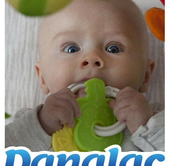 baby puts everything mouth