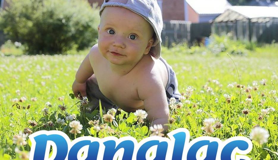 crawling baby cereals