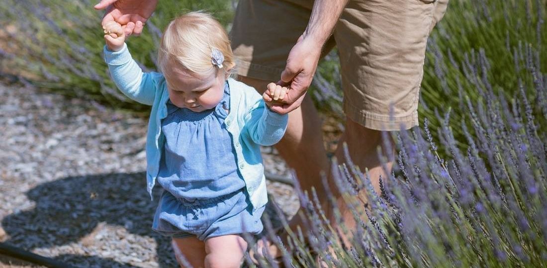 babies begin to walk