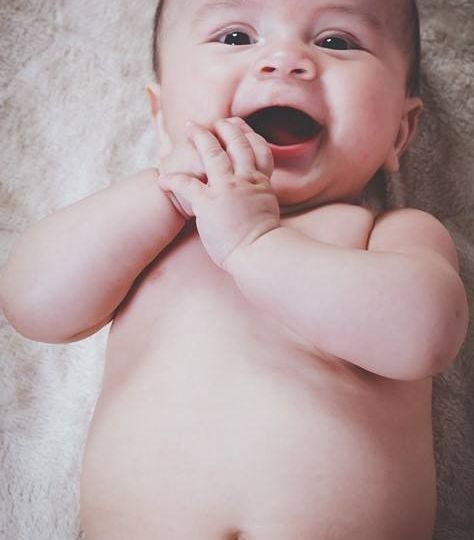 prebiotics