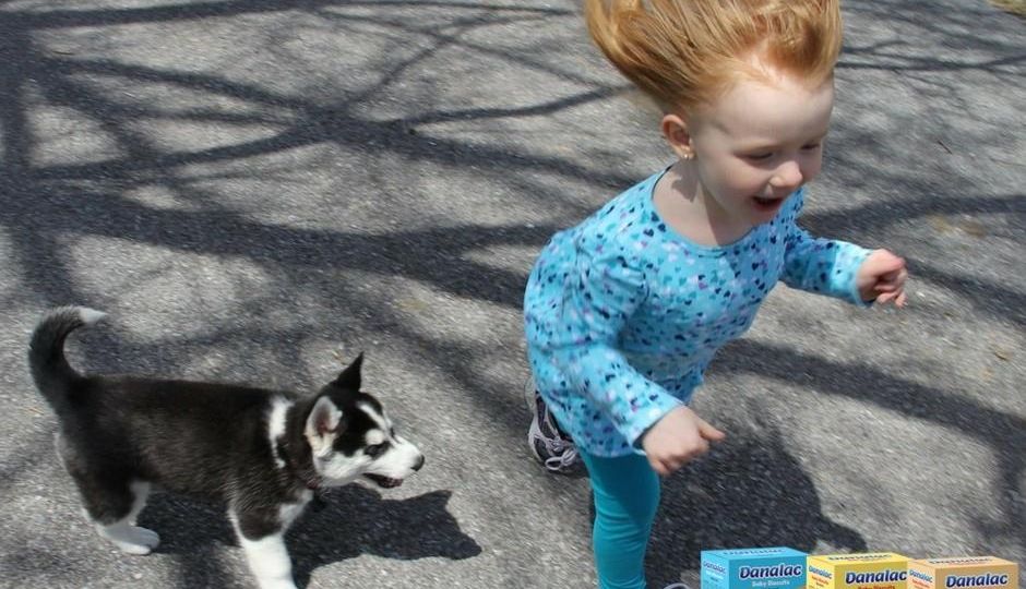 Families, Babies, and Pets