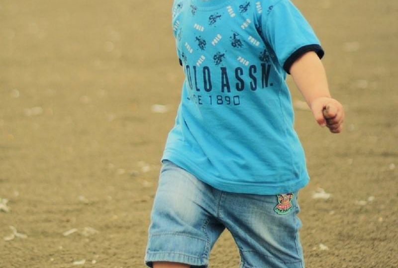 Toddlers aged 1-3 years are growing and developing quickly